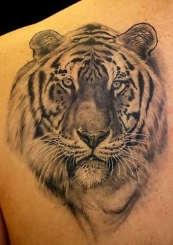 Tiger Head Tattoo Design Picture
