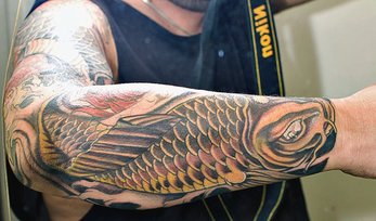 Koi Fish Tattoo Design for Forearm Picture