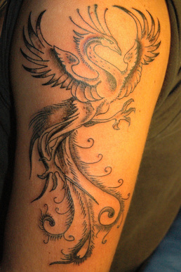 Phoenix Tattoo Designs for Arm Picture