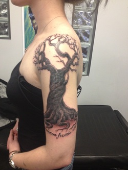 Fig Tree Tattoo Design Picture
