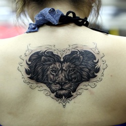 Female Lion Tattoo Design Picture