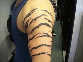 Tiger Stripe Tattoo Design Picture