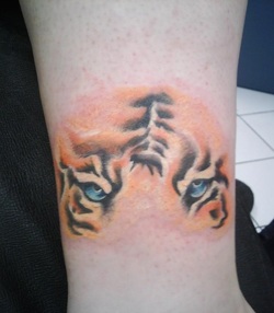 Tiger Eye Tattoo Design Picture