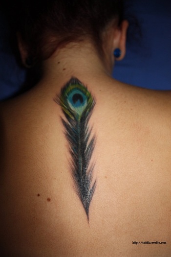 Peacock Feather Tattoo Design Picture