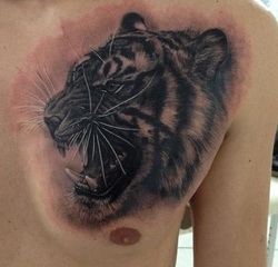 Tiger Tattoo Design for Chest Picture