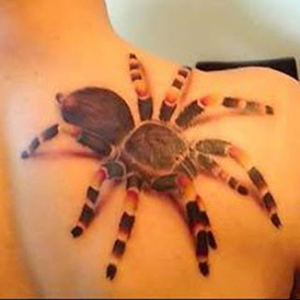 3D Spider Tattoo Design Picture