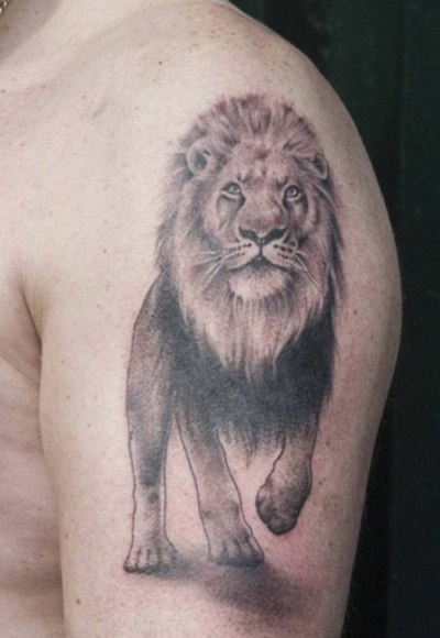 Lion Tattoo Design Ideas and Pictures - Tattdiz