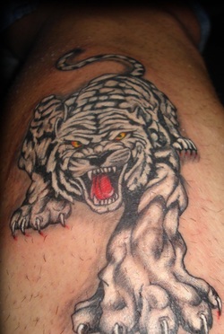 White Tiger Tattoo Design Picture