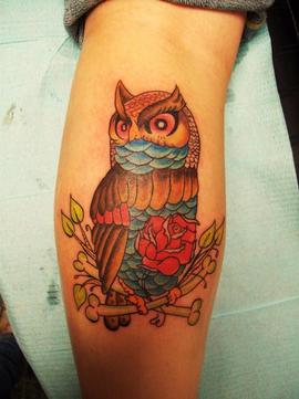 Traditional Owl Tattoo Design Picture