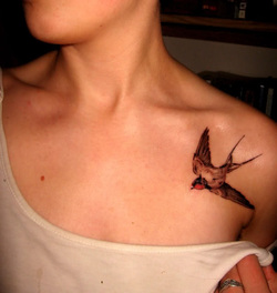 Small Bird Tattoo Design Picture
