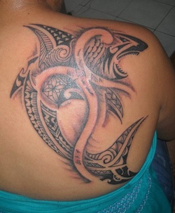Polynesian Shark Tattoo Design Picture