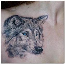 Wolf Tattoo Design for Guys Picture