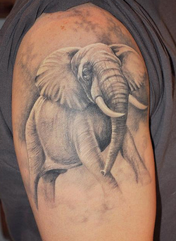 Elephant Tattoo Design for Guys Picture