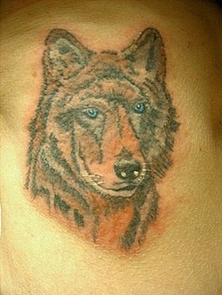 Timber Wolf Tattoo Design Picture
