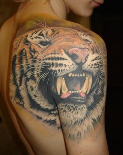 Tiger Tattoo Design for Shoulder Picture