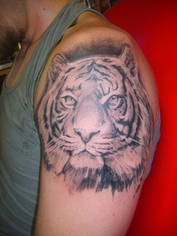 Tiger Tattoo Design for Arm Picture