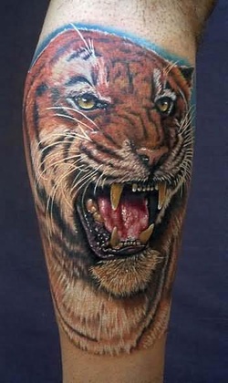 Angry Tiger Tattoo Design Picture