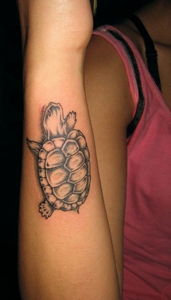 Turtle Tattoo Design for Arm Picture