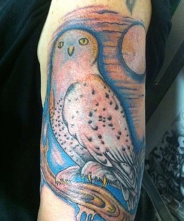 Snowy Owl Tattoo Design Picture