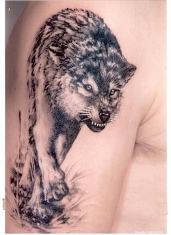Wolf Tattoo Design for Men Picture