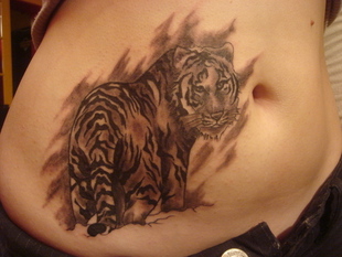 Tiger Tattoo Design for Stomach Picture