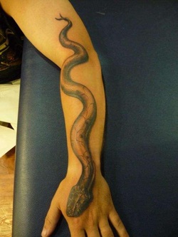Snake Arm Tattoo Design Picture