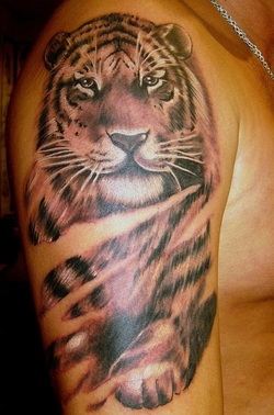 Tiger Tattoo Design for Sleeve Picture