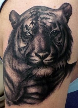Black Tiger Tattoo Design Picture