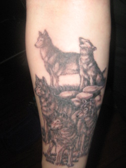 Wolf Pack Tattoo Design Picture